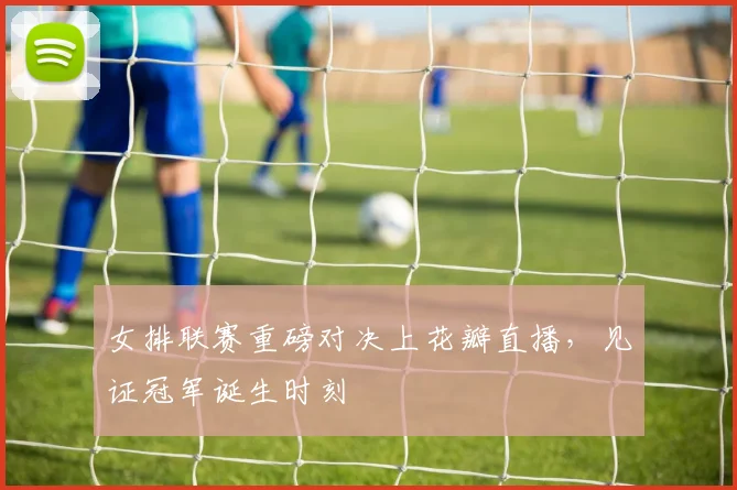 女排联赛重磅对决上花瓣直播，见证冠军诞生时刻